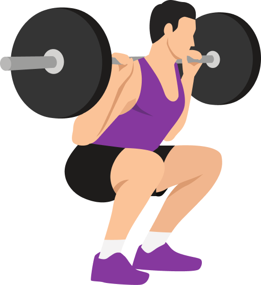 Illustration of the Barbell Squat