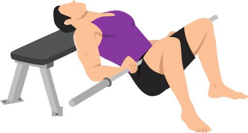 Illustration of the Barbell Hip Thrust