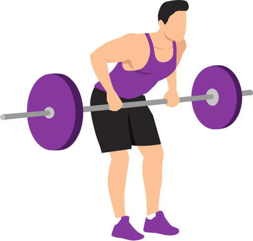 Illustration of the Barbell Bent Over Row