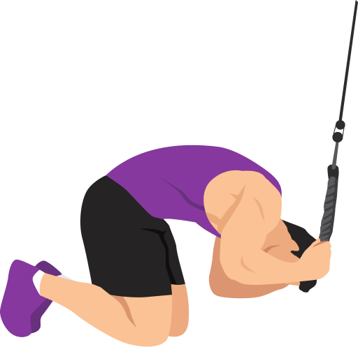 Illustration of the Cable Crunch