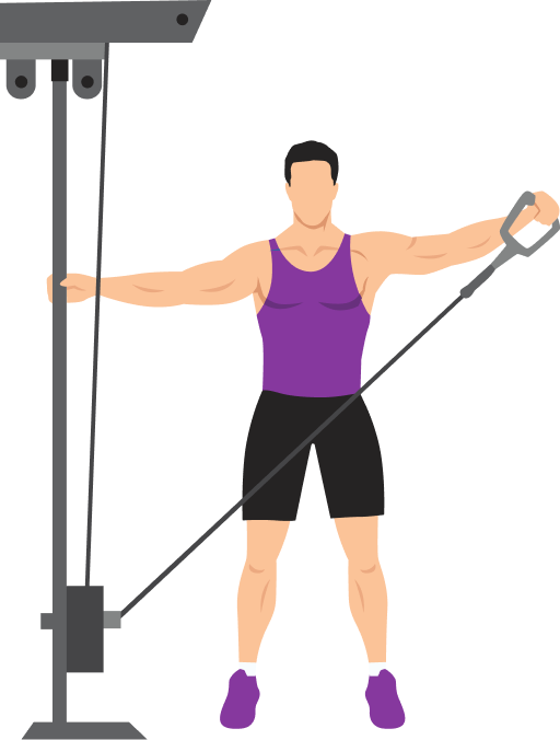 Illustration of the Cable Lateral Raise