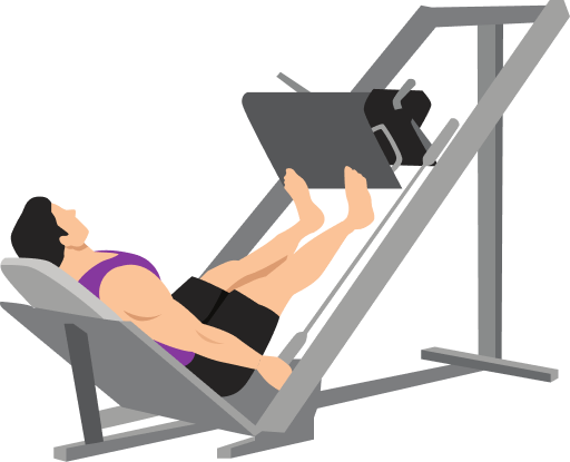 Illustration of the Calf Press