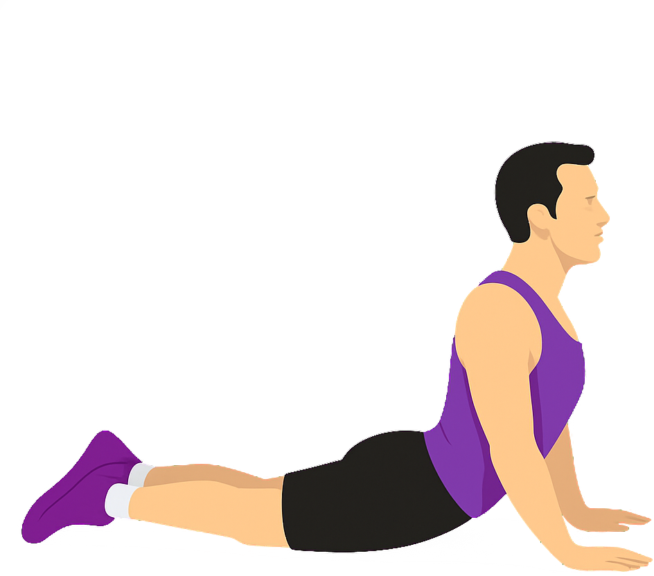 Illustration of the Cobra Pose