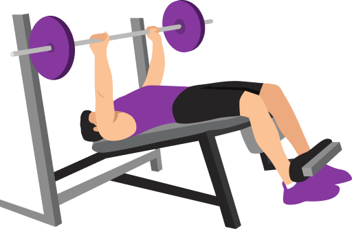 Illustration of the Decline Bench Press
