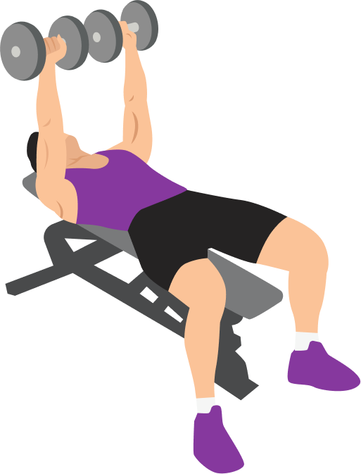 Illustration of the Dumbbell Bench Press