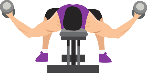 Illustration of the Dumbbell Chest Flyes