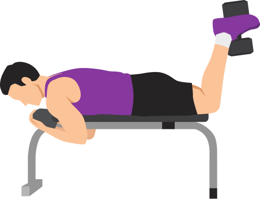 Illustration of the Leg Curl