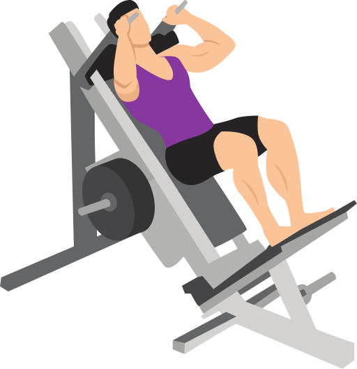 Illustration of the Hack Squat