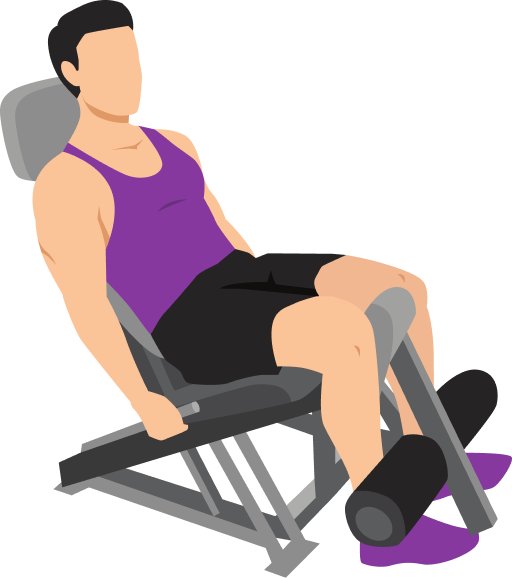Illustration of the Leg Extension