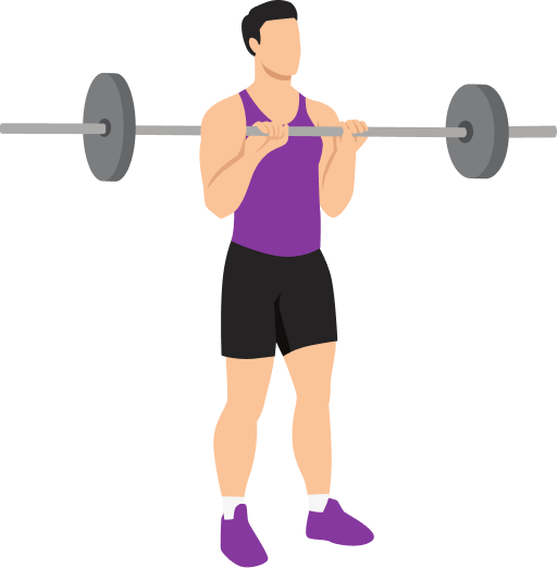 Illustration of the Barbell Reverse Curl