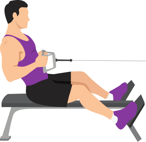 Illustration of the Cable Seated Row