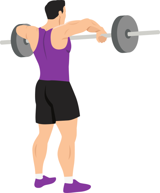 Illustration of the Barbell Upright Row