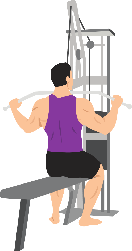 Illustration of the Wide Grip Lat Pulldown